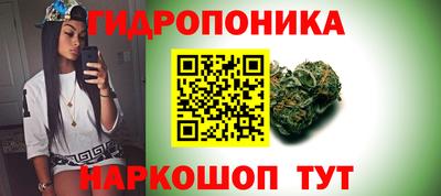 ПСИЛОЦИБИНОВЫЕ ГРИБЫ Краснознаменск