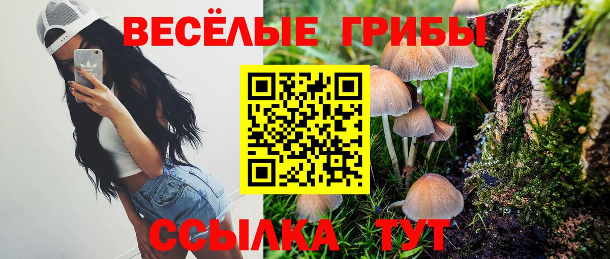 Галлюциногенные грибы Psilocybine cubensis  где купить наркоту  Кольчугино  Вход с VPN  Галлюциногенные грибы мухоморы 