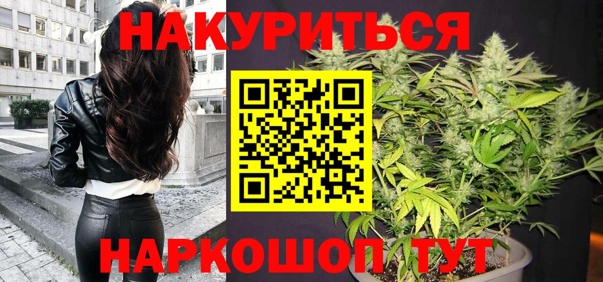Конопля планчик Кольчугино